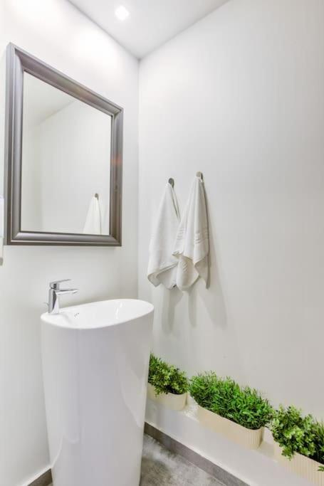 Splendor 3 Bedroom Flat In Silver Mountain Poiana Brašov Exteriér fotografie