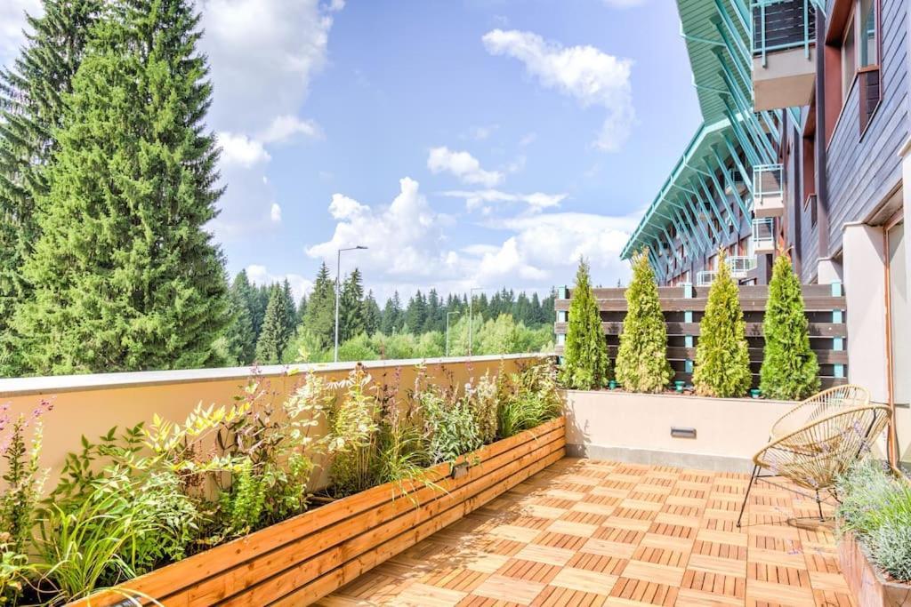 Splendor 3 Bedroom Flat In Silver Mountain Poiana Brašov Exteriér fotografie