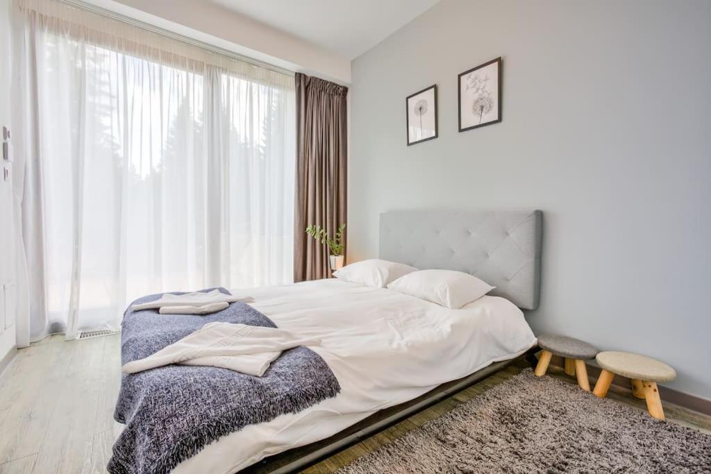 Splendor 3 Bedroom Flat In Silver Mountain Poiana Brašov Exteriér fotografie